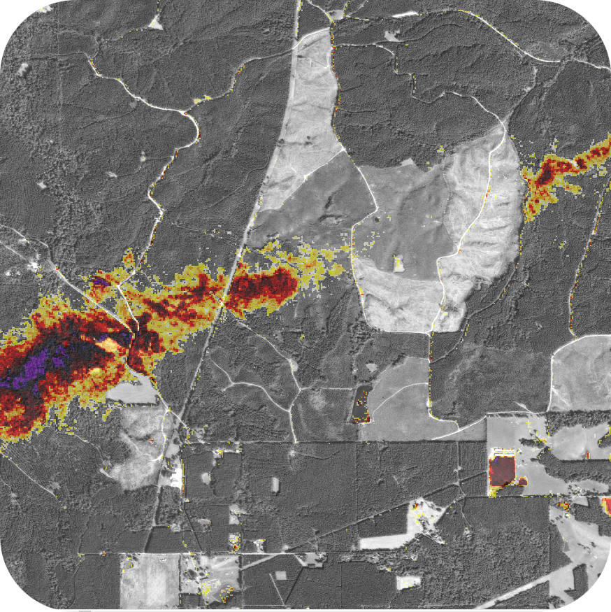 Mississippi Tornado severity varied by vegetation types