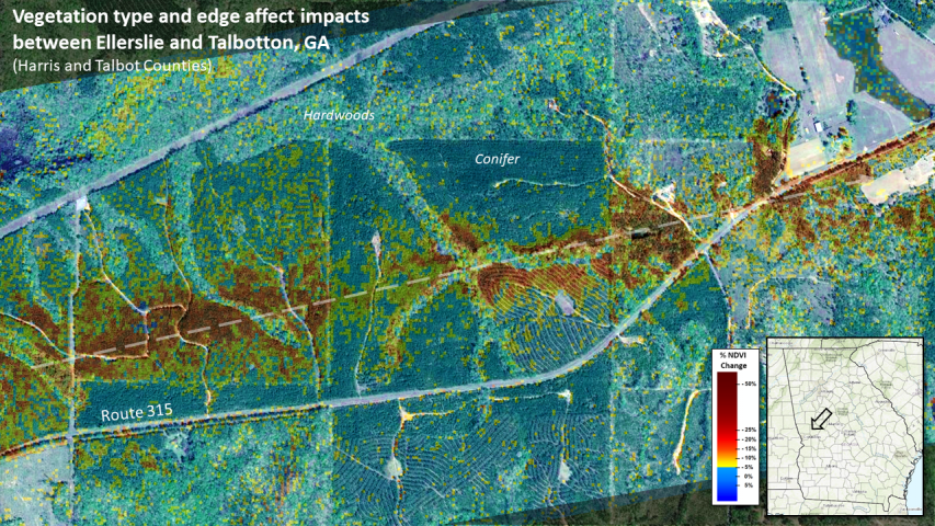 Tornado impacts vary by forest type.