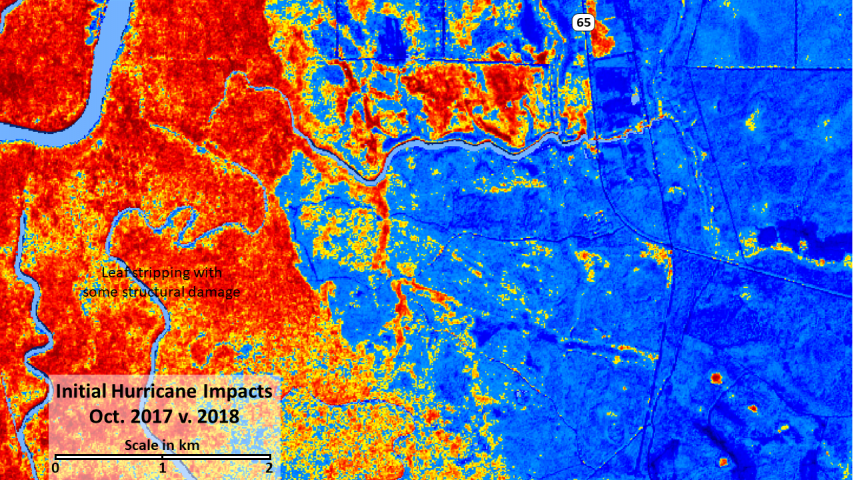 Post-Michael decline in NDVI in Fall 2018.