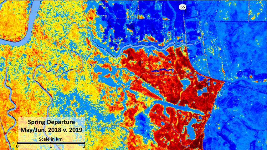 Spring departure in NDVI shows logging activity in red and delayed greenup on the Apalachicola bottoms.