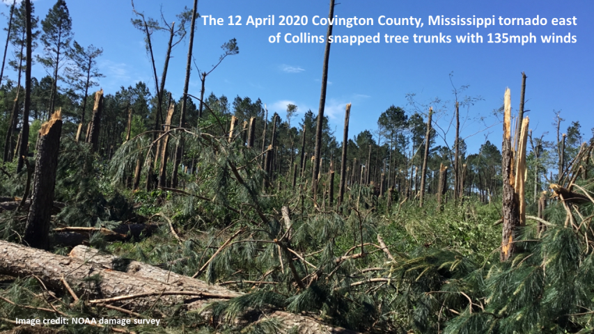 A photograph of the April 2020 tornado damage in Mississippi