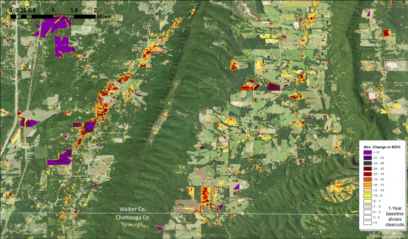 HiForm NDVI change map for Chattooga-Walker Counties (1 year baseline)