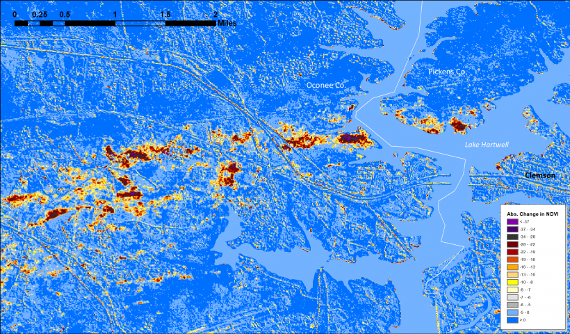 HiForm map of absolute NDVI change at Clemson SC - zoom