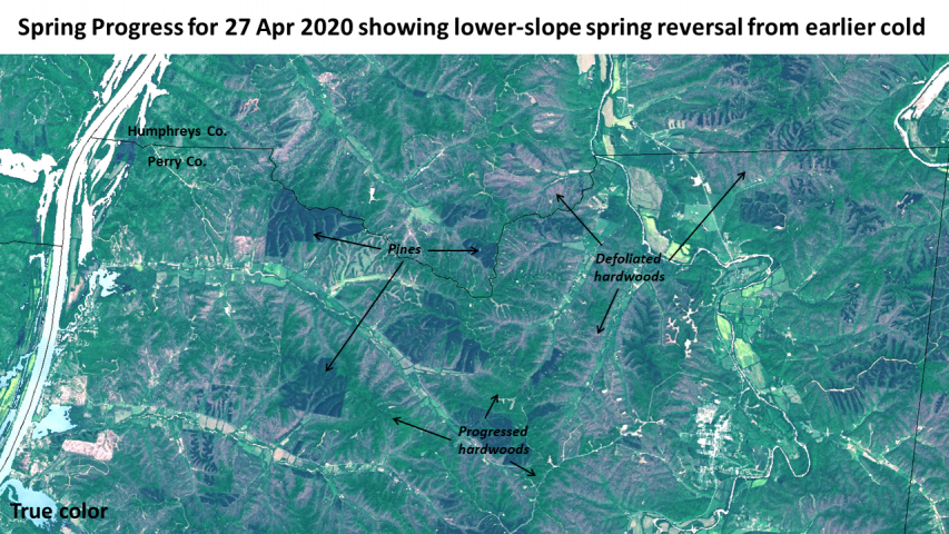 True color view for 27 April 2020 showing foliage loss from micro-climatic effects
