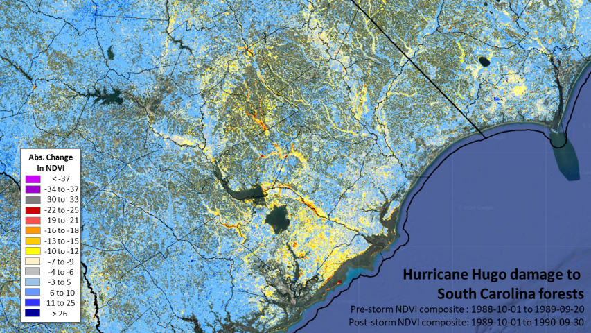 Hurricane Hugo damage to SC forests 1989-1990