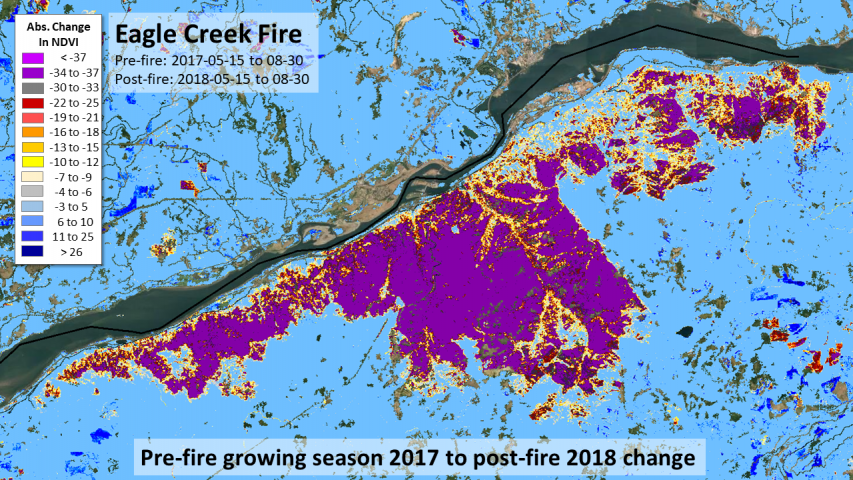 2017 Eagle Creek Fire, Oregon initial severity
