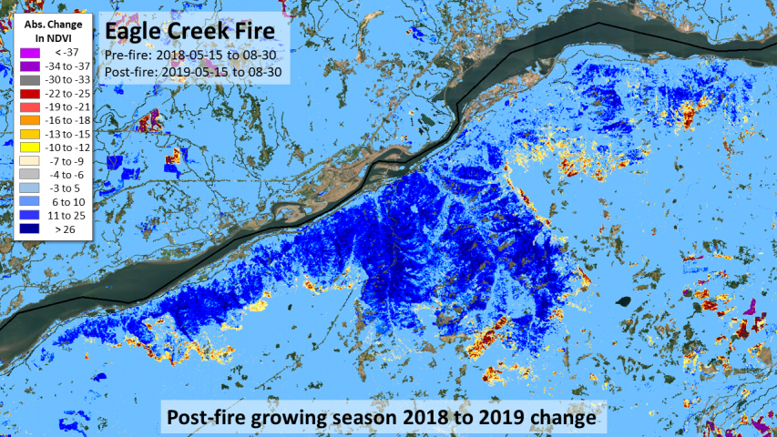 2017 Eagle Creek Fire, Oregon recovery and delayed mortality