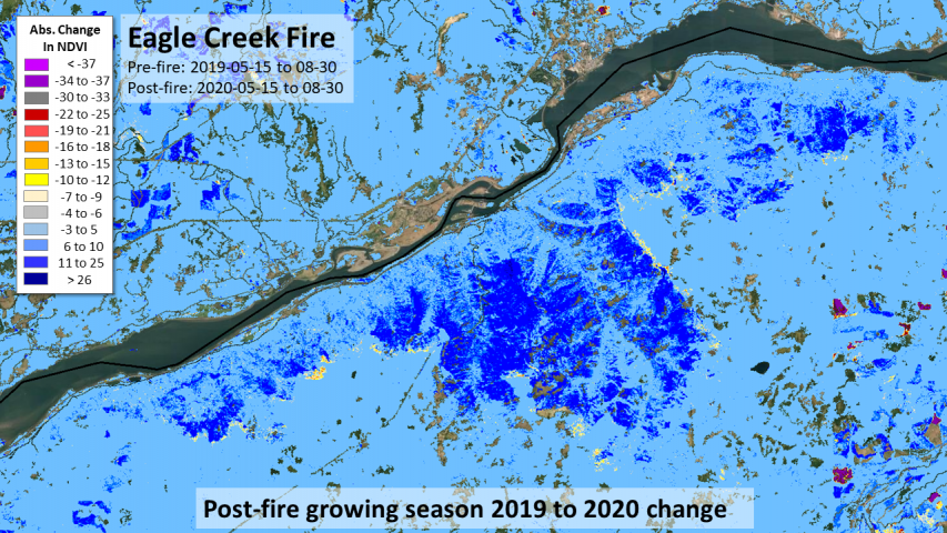 2017 Eagle Creek Fire, Oregon recovery and delayed mortality