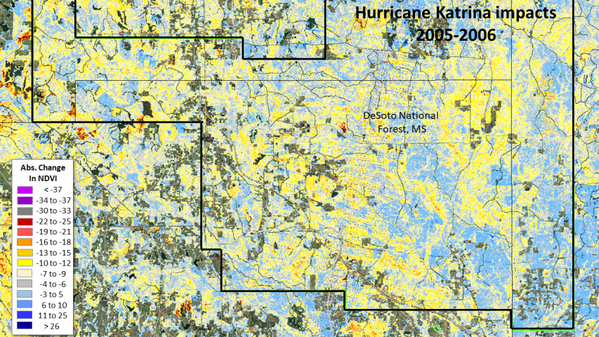 Local forest impacts from 2005 Hurricane Katrina in the De Soto National Forest
