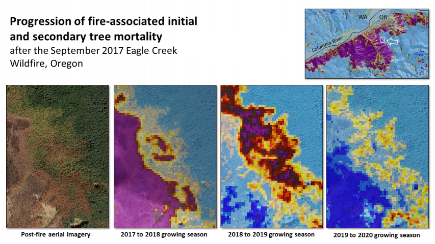 2017 Eagle Creek Fire, Oregon initial and secondary declines