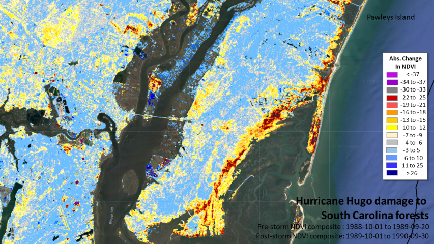 Hurricane Hugo damage to SC coastal forests 1989-1990