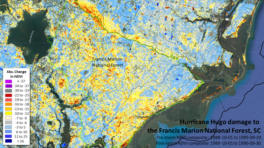 Hurricane Hugo damage to the Francis Marion National Forest 1989-1990