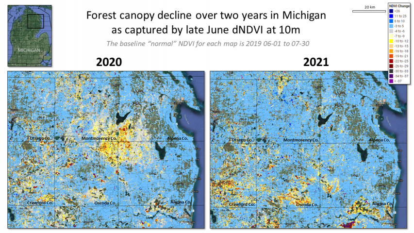 2020 and 2021's Lymantria Moth defoliation in Michigan