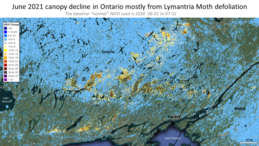 Vast areas across Ontario show sign of defoliation in June 2021: most of this may be from Lymantria Moth
