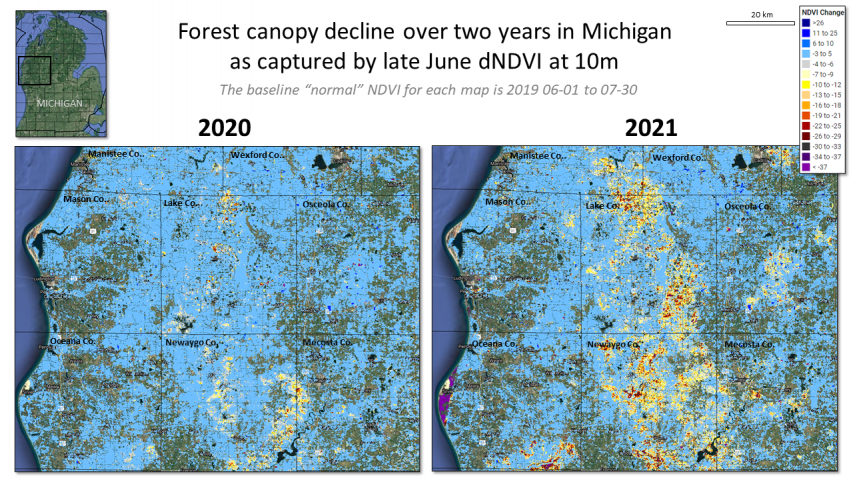 2020 and 2021's Lymantria Moth defoliation in Michigan