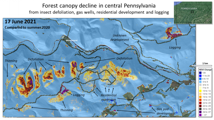 defoliation and other causes of forest loss in Centre and Clinton Counties, Pennsylvania