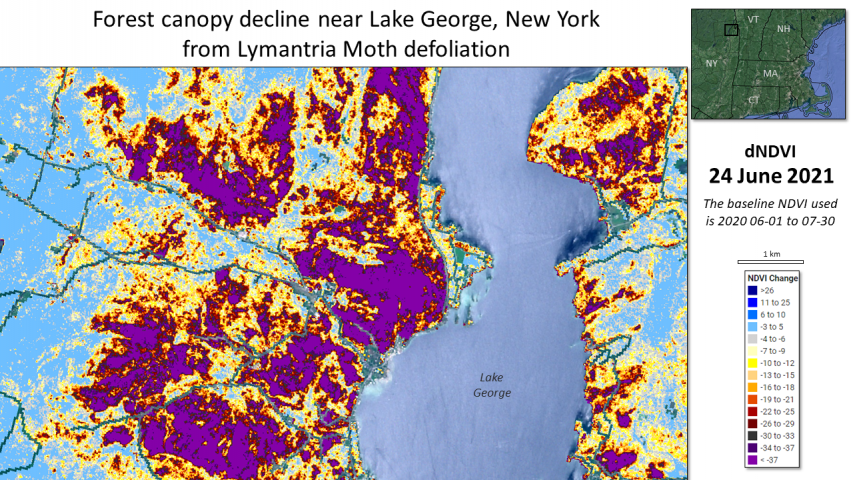 Lymantria defoliation near Lake George, New York dNDVI from HiForm.org
