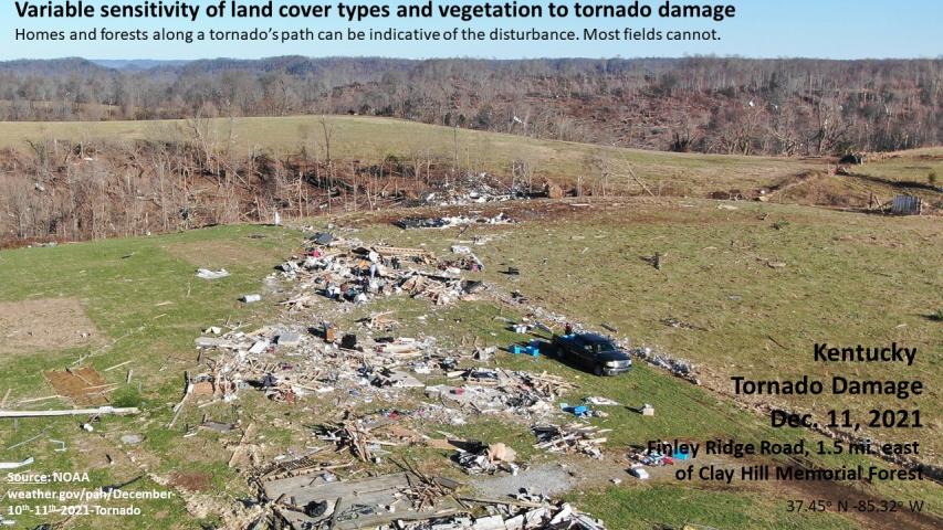 December 2021 Western Kentucky Tornado damage near Clay Hall Memorial Forest