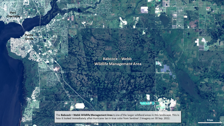 The relative resiliency of the Babcock-Webb Wildlife Management Area