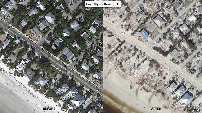 The urban forest of Fort Myers Beach, Florida was devastated