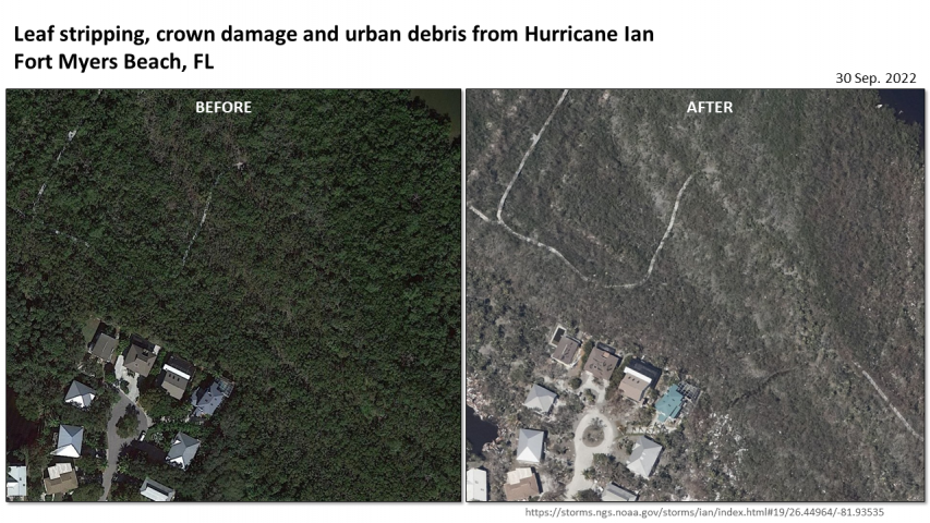 Impacts on the eastern side of Fort Myers Beach Barrier Island