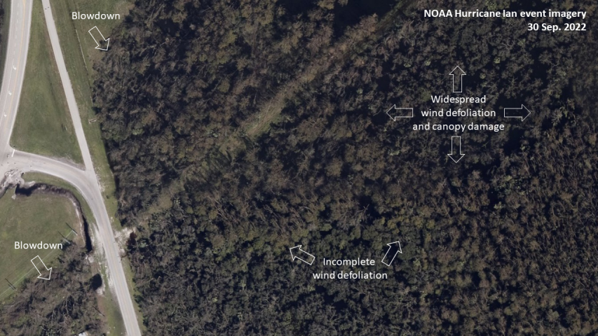 Forest conditions on 30 Sep. 2022, immediately after the storm.