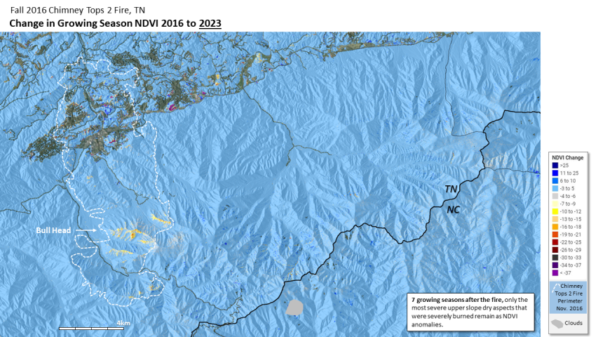 Fire recovery for Great Smoky Mountains National Park, TN