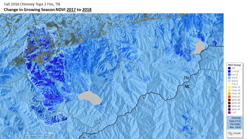 Fire recovery for Great Smoky Mountains National Park, TN