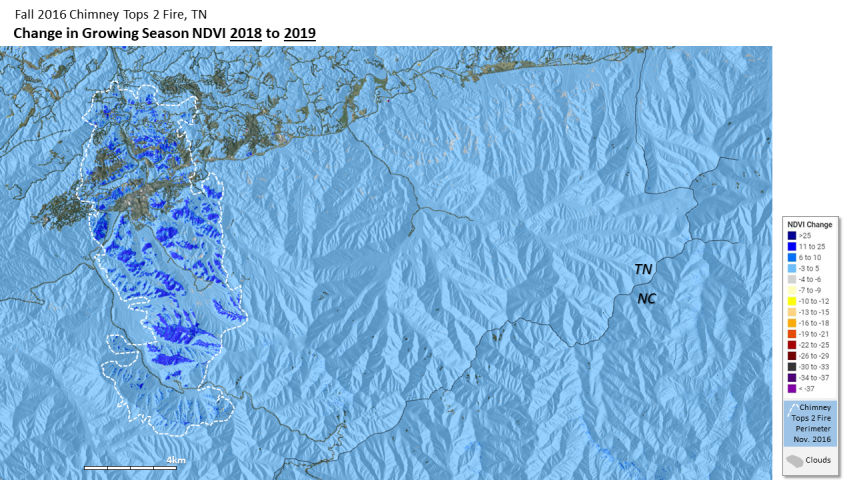 Fire recovery for Great Smoky Mountains National Park, TN