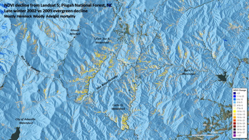 Hemlock mortality mapped by Landsat 5 (SR) in HiForm for the Mount Mitchell area, NC