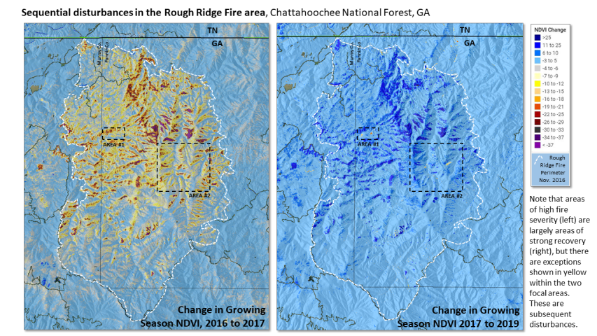 Fire severity and recovery of the Rough Ridge fire, Cohutta Wilderness Area, Chattahoochee National Forest, Georgia
