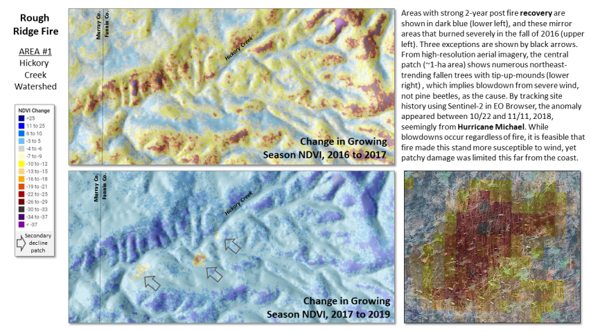 Fire severity and recovery of the Rough Ridge fire, Cohutta Wilderness Area, Chattahoochee National Forest, Georgia