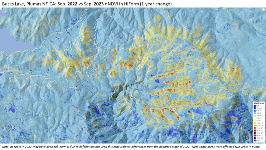 2023 Douglas-fir Tussock Moth defoliation in the Plumas National Forest, California