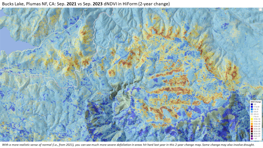 2023 Douglas-fir Tussock Moth defoliation in the Plumas National Forest, California