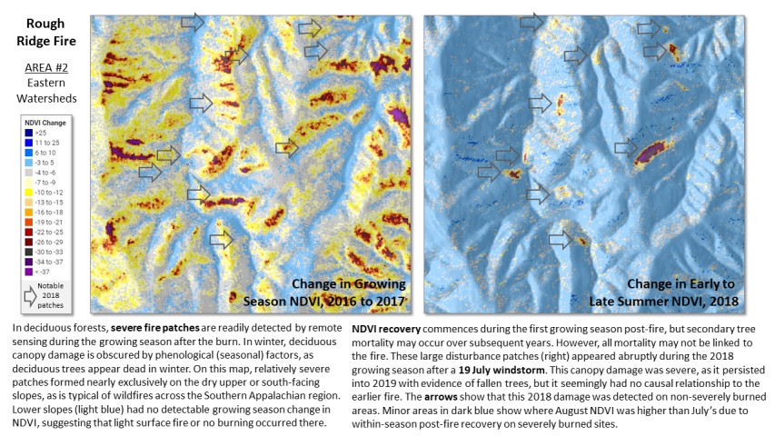 Fire severity and recovery of the Rough Ridge fire, Cohutta Wilderness Area, Chattahoochee National Forest, Georgia