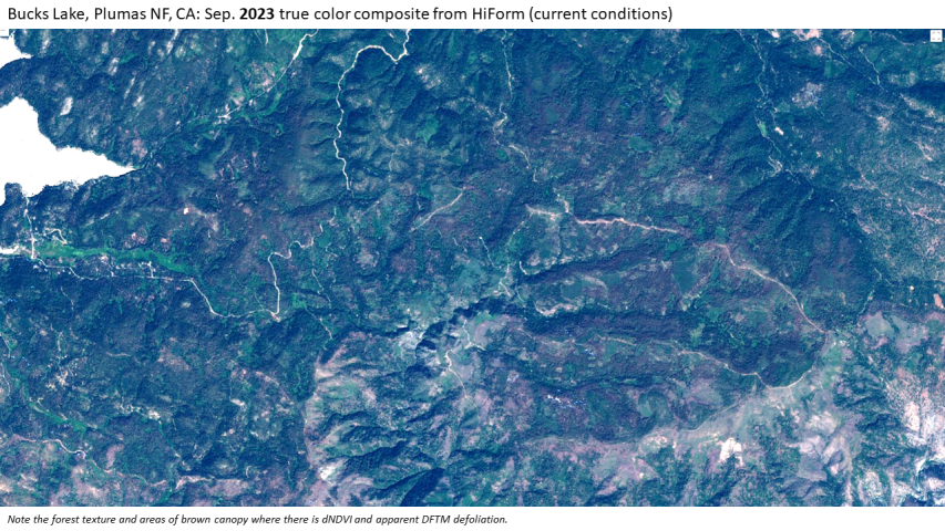 2023 Douglas-fir Tussock Moth defoliation in the Plumas National Forest, California