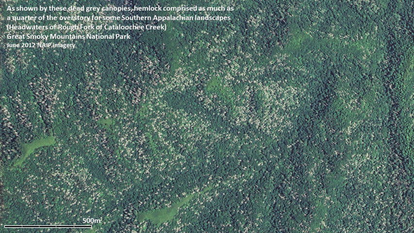 Hemlock mortality as documented by 2012 NAIP imagery in Great Smoky Mountains National Park