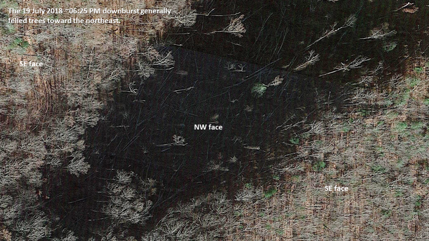 Non-fire wind/hail disturbance within the 2016 Rough Ridge fire, Chattahoochee National Forest, Georgia