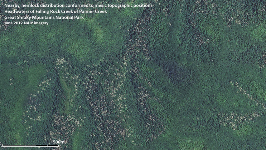 Hemlock mortality as documented by 2012 NAIP imagery in Great Smoky Mountains National Park