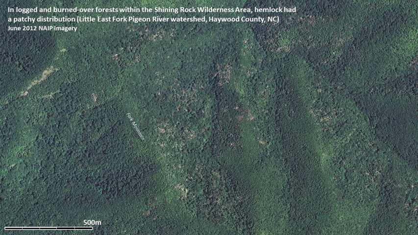 Hemlock mortality as documented by 2012 NAIP imagery for the Shining Rock Wilderness Area, Pisgah National Forest, NC