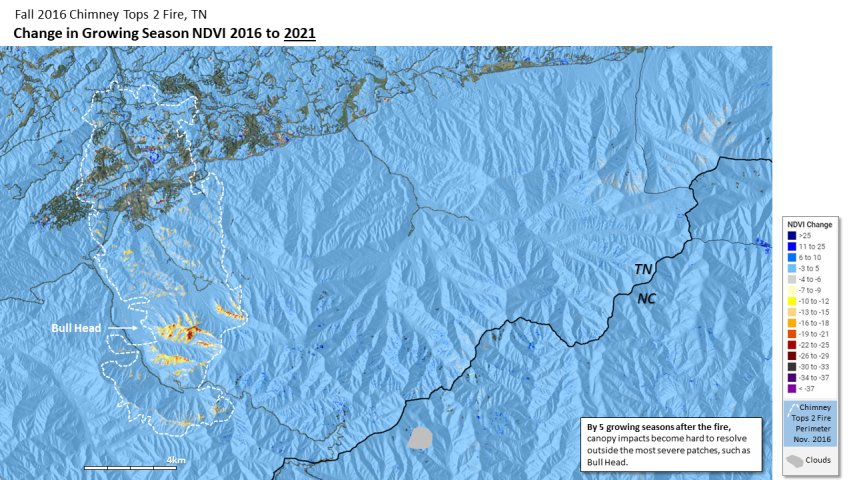 Fire recovery for Great Smoky Mountains National Park, TN