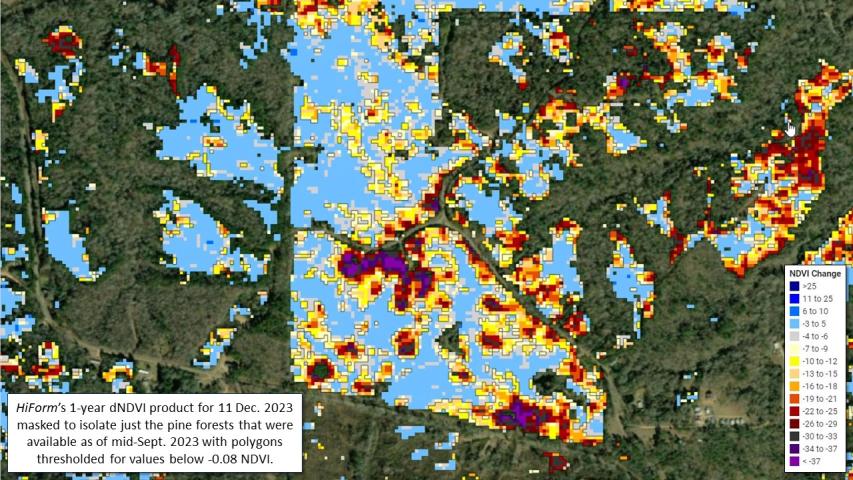 Pine beetle and drought mortality in MS and LA during fall 2023