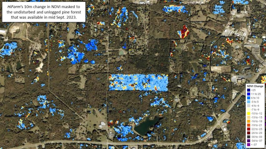 Pine beetle and drought mortality in MS and LA during fall 2023