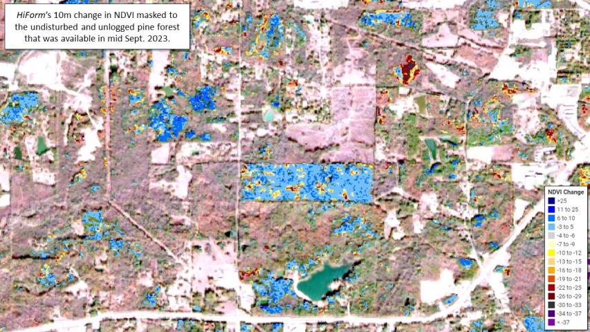 Pine beetle and drought mortality in MS and LA during fall 2023