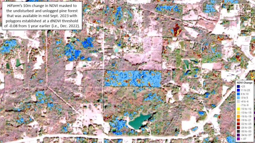 Pine beetle and drought mortality in MS and LA during fall 2023