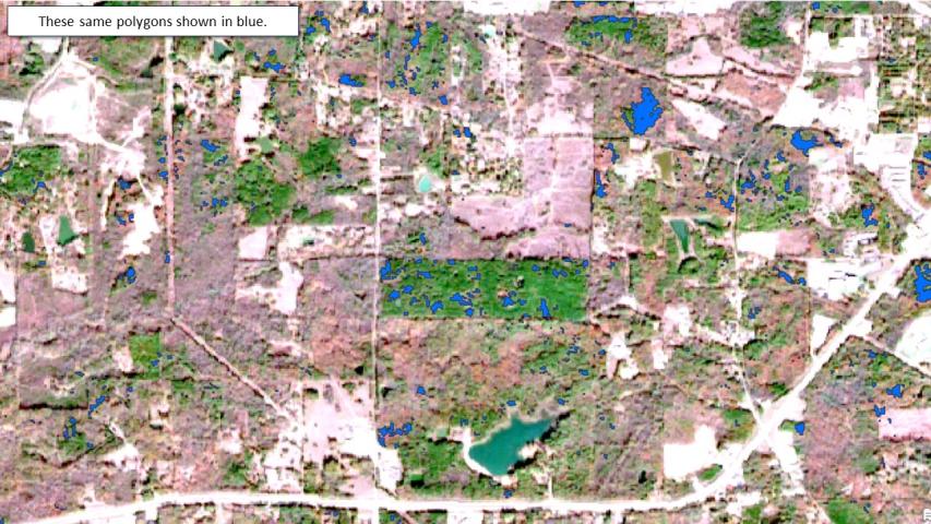 Pine beetle and drought mortality in MS and LA during fall 2023