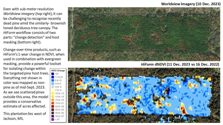 Pine beetle and drought mortality in MS and LA during fall 2023