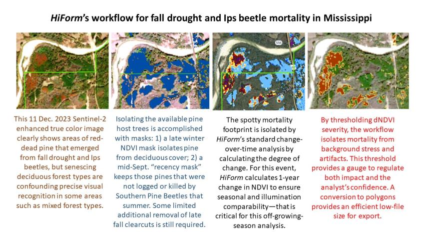 Pine beetle and drought mortality in MS and LA during fall 2023