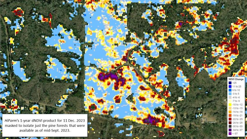 Pine beetle and  drought mortality in MS and LA during fall 2023