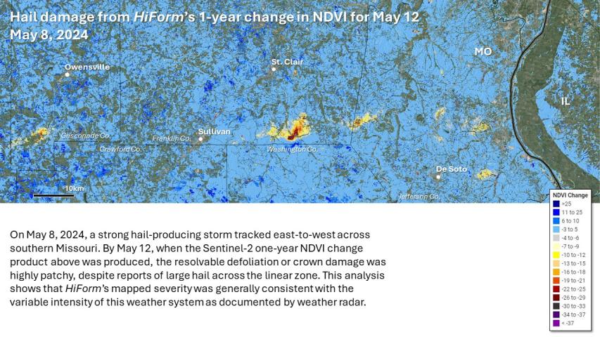 Hail impacts to forests in southern Missouri